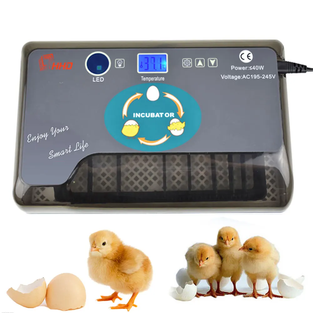 Inkubator za 12 jaja, inkubator za ptice, Digitalni ptica svijeće, led Patka, Guska, Automatsko okretanje, Inkubator za piliće