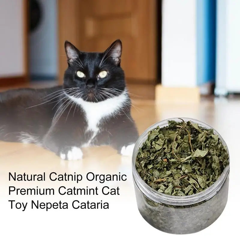 Simply Catnip Prirodna Organska Mačja trava Premium Klase 40 g/paket Okus Mačje Metvice S Ментолом Visoko Stimulansi Za Uklanjanje Dlaka Kod Mačaka Tvornica