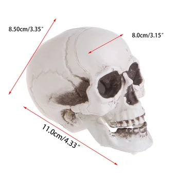 Plastični mini-lubanja čovjeka, rekvizite, glava kostura, ukras za kavane na Halloween Q1JC